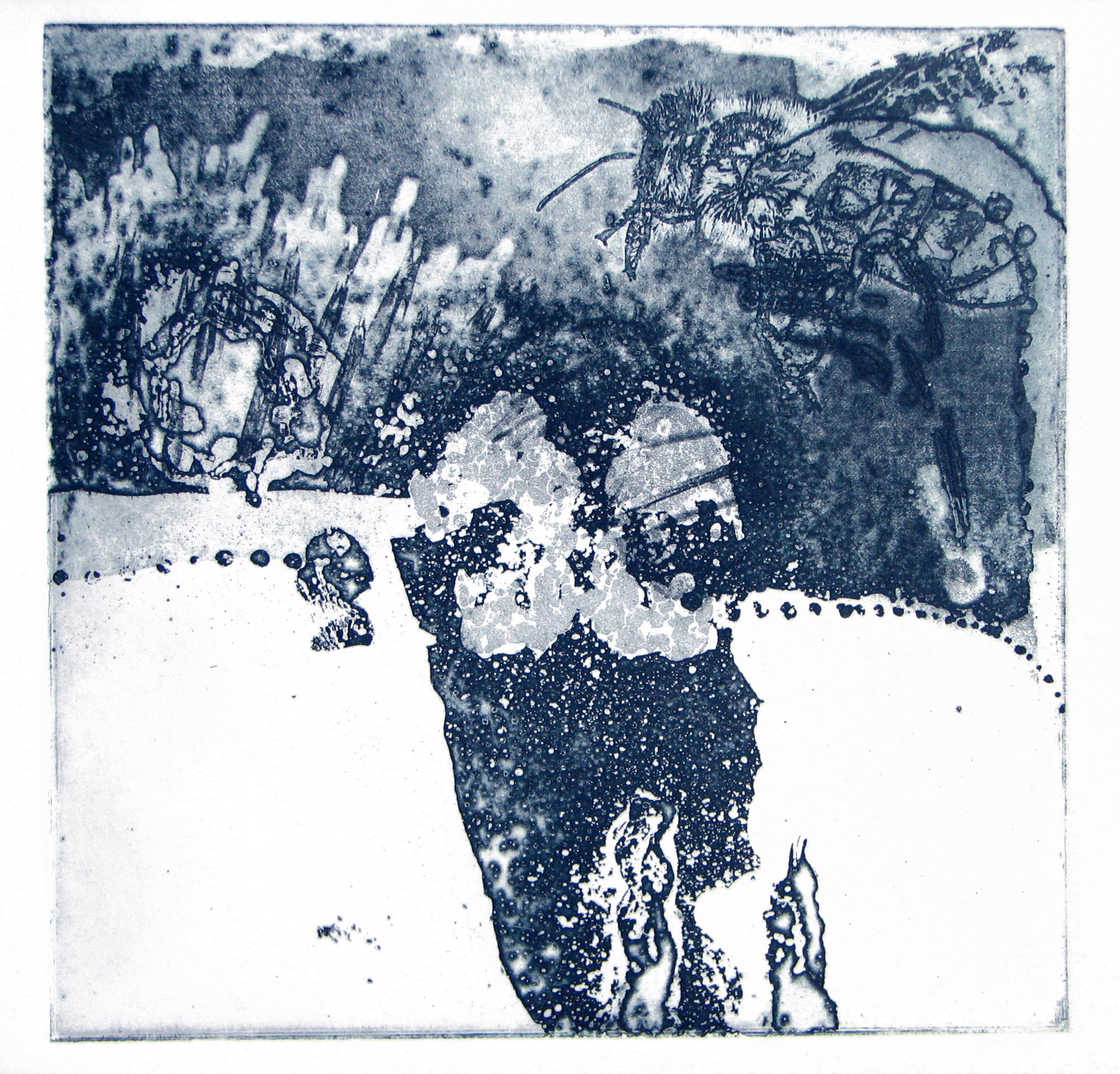 untitled intaglios, 2007